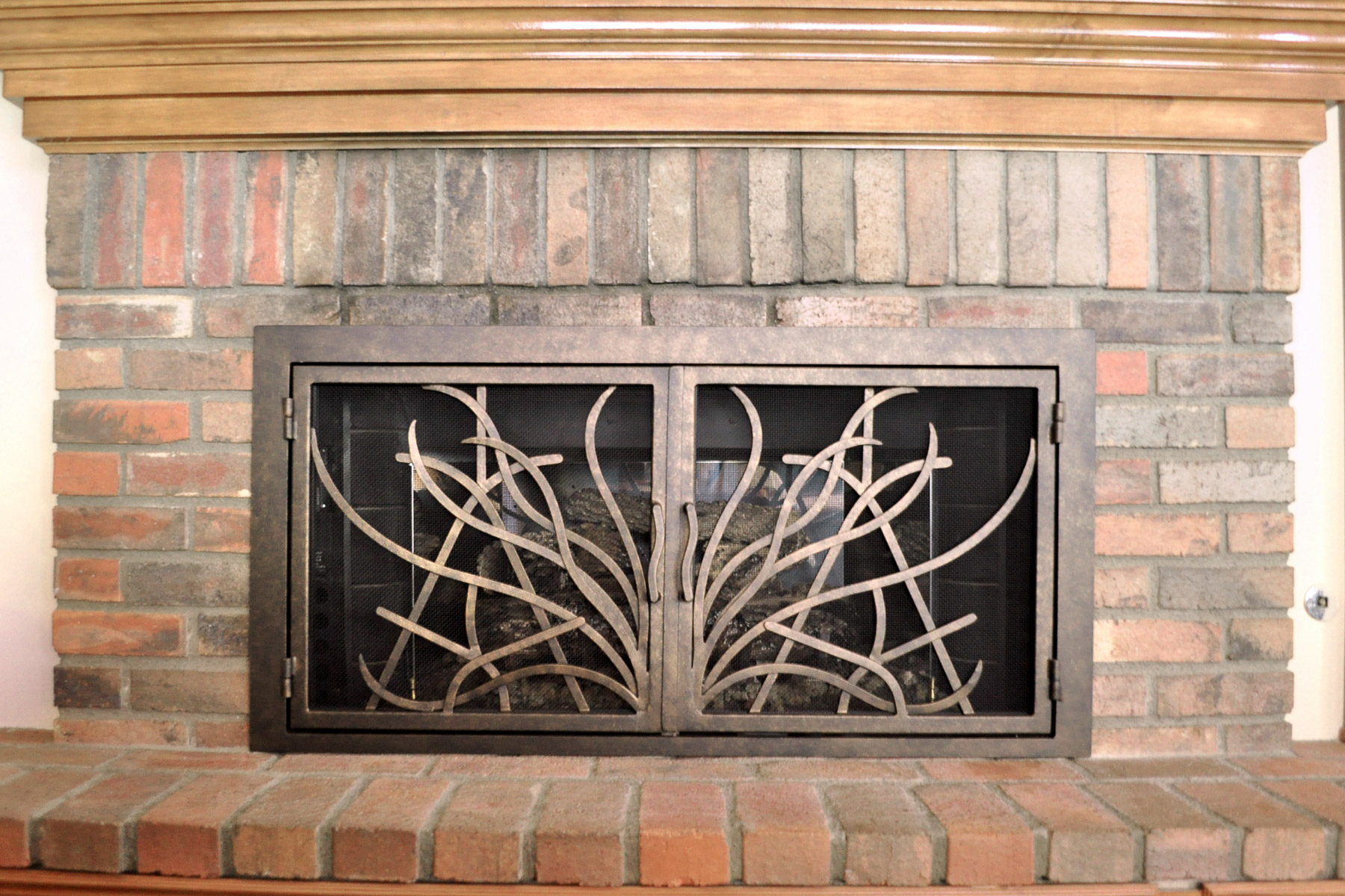 Saratoga 16 Fireplace Door